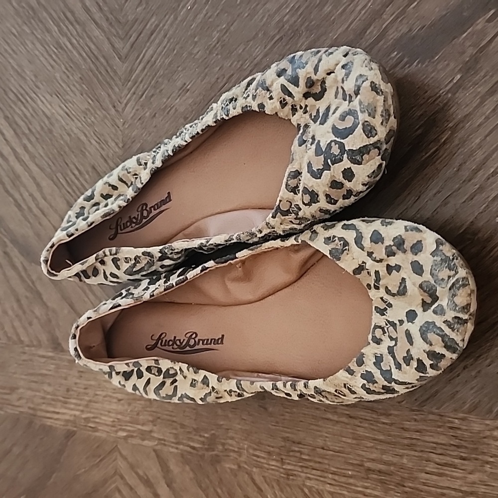 Lucky Brand Cheetah Print ballet flats size 5